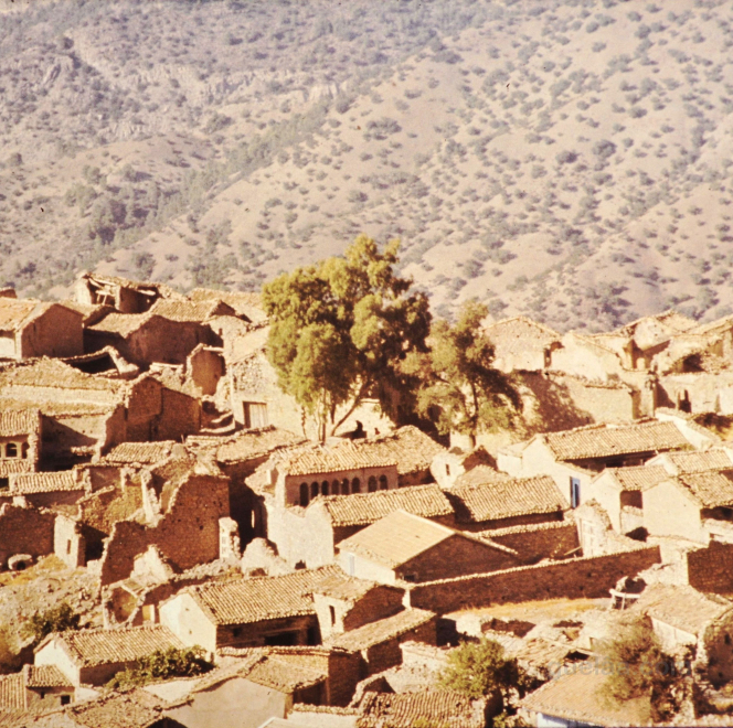d_vue_sur_thazajarth_avec_maisons_a_arcades.jpg