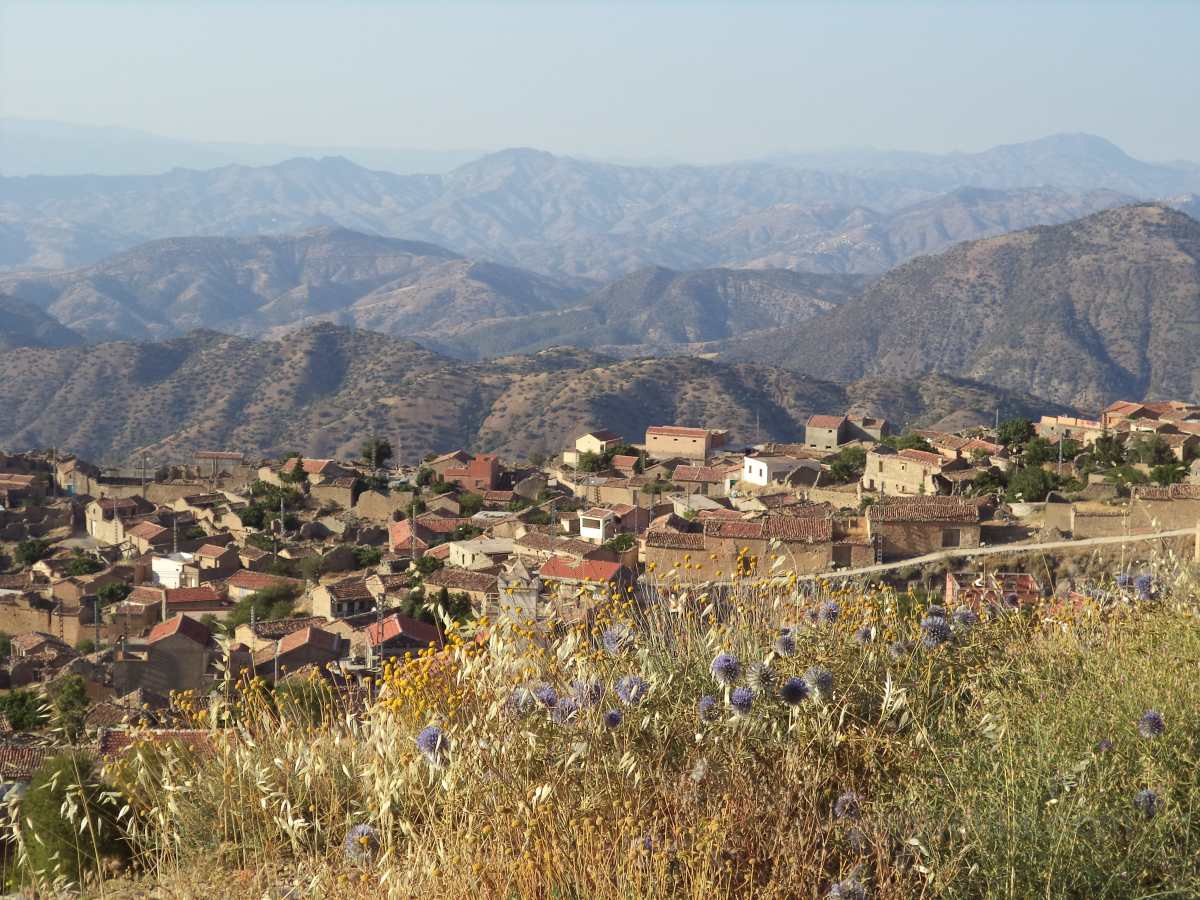 juillet_2013_2_.jpg
